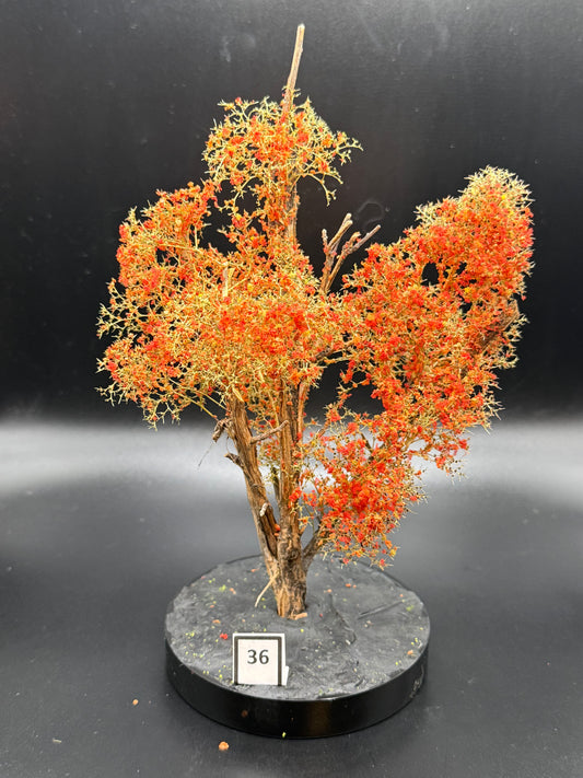 HO/N SCALE Realistic Maple Tree 7" #36