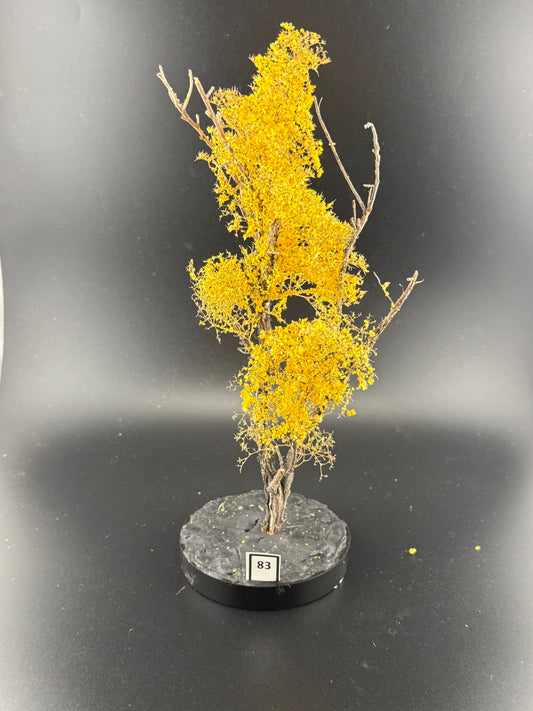 HO SCALE Realistic Yellow Trumpet Tree 10" #83